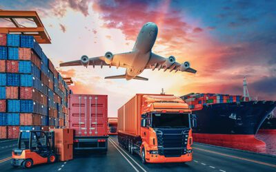 How Freight Software Helps Global Transportation Companies