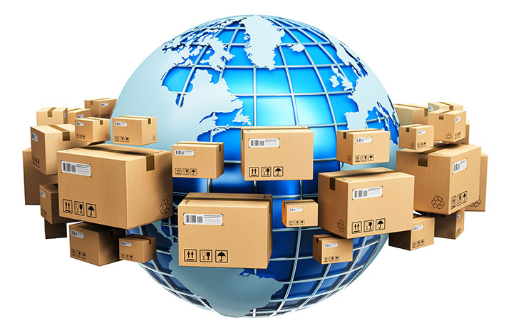 How to Choose the Right Freight Forwarding Software for Growth and Efficiency