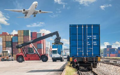 Carbon Emissions Reporting in Freight Forwarding Software